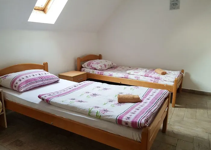 Alojamento de Acomodação e Pequeno-almoço Youth - Camp And *